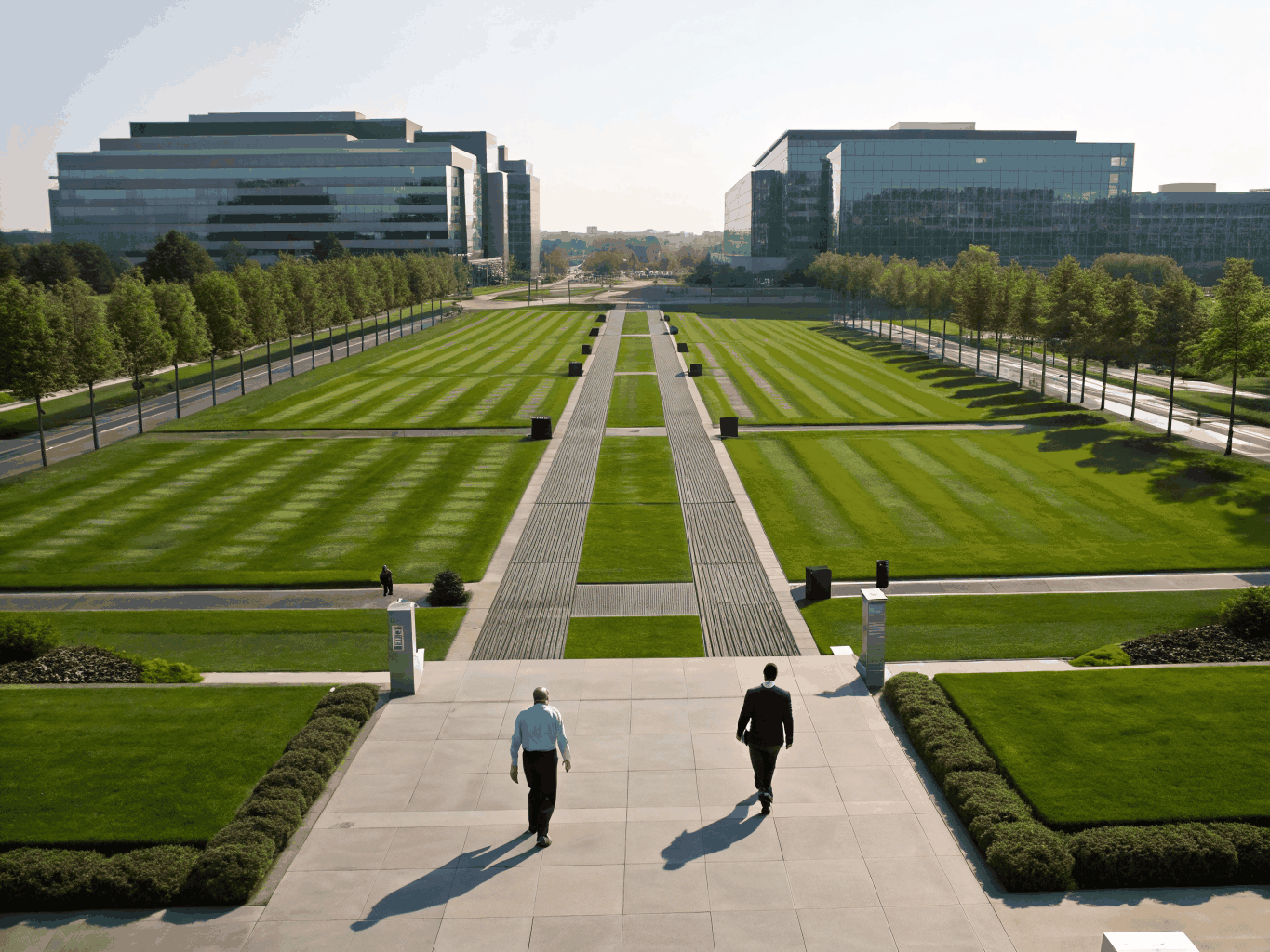 Large scale corporate campus build